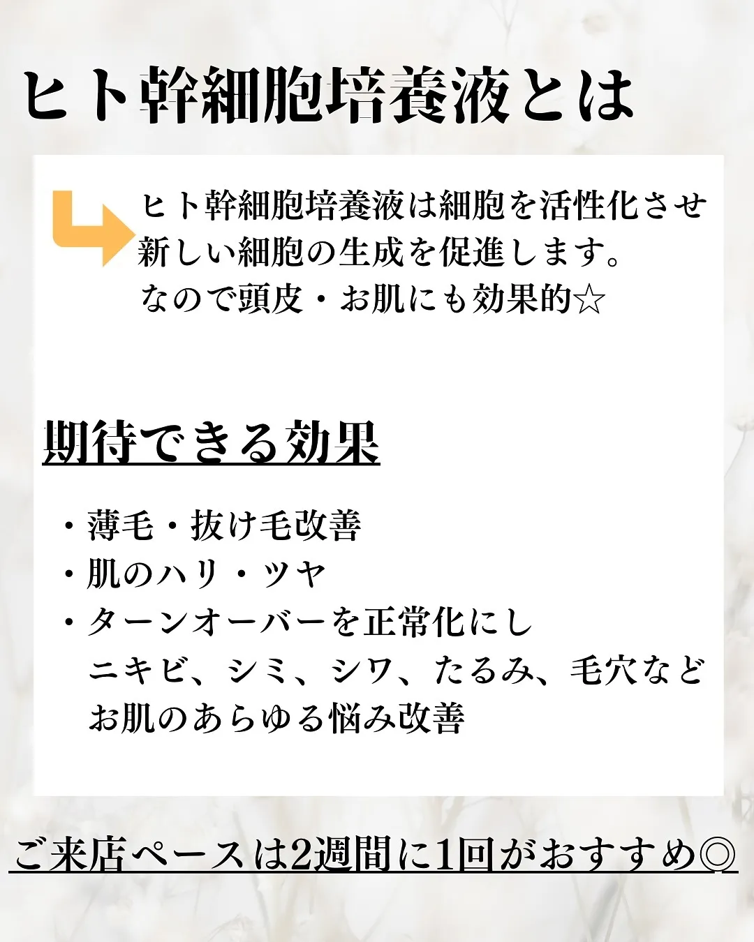 大阪福島にあるプライベートサロン、強髪で薄毛のお悩み改善！✨