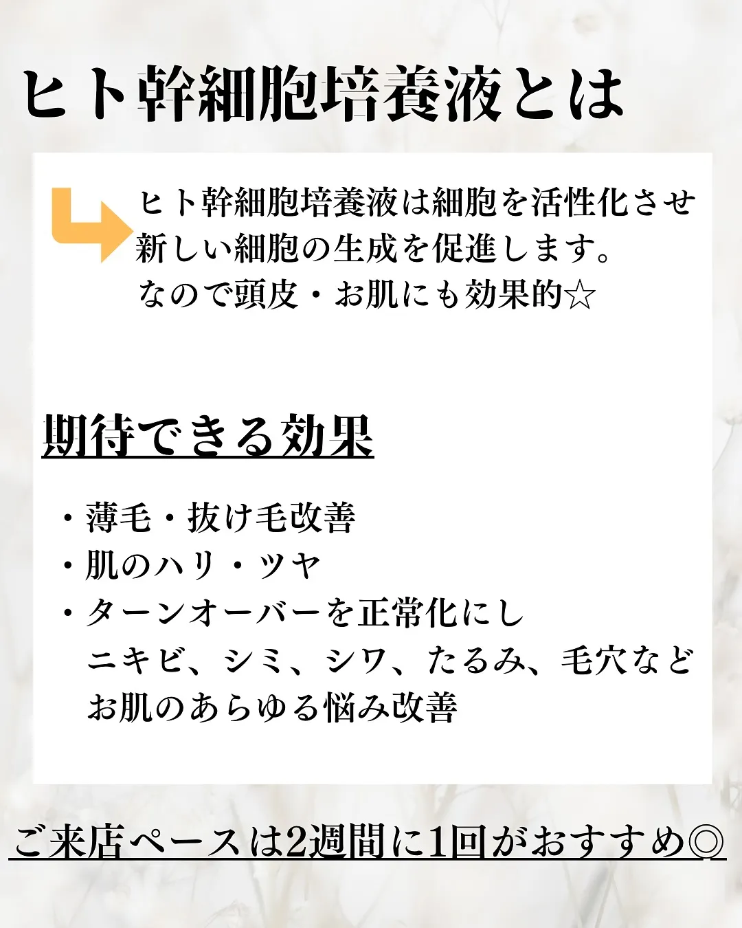 強髪の疑問を解決！ヒト幹細胞でなぜ髪の毛が増えるのでしょうか...