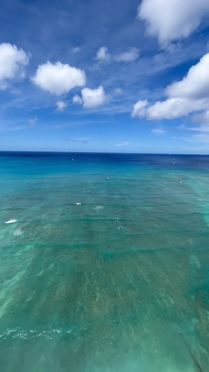 ハワイの街並みです！心が浄化されます☺️